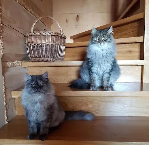 Chalet W Gorach Smolenisko