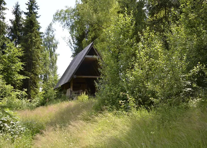 W Gorach Smolenisko Chalet *